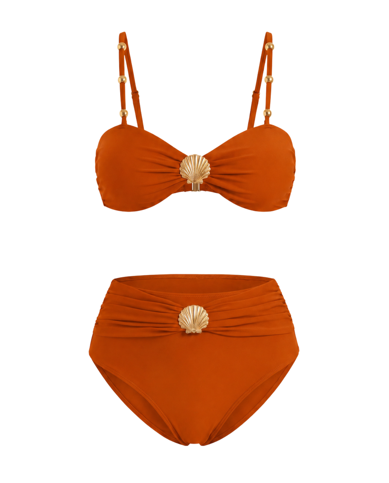 Metallic Sheen Bikini